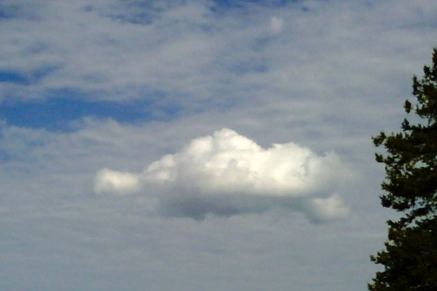 Sea Turtle Cloud